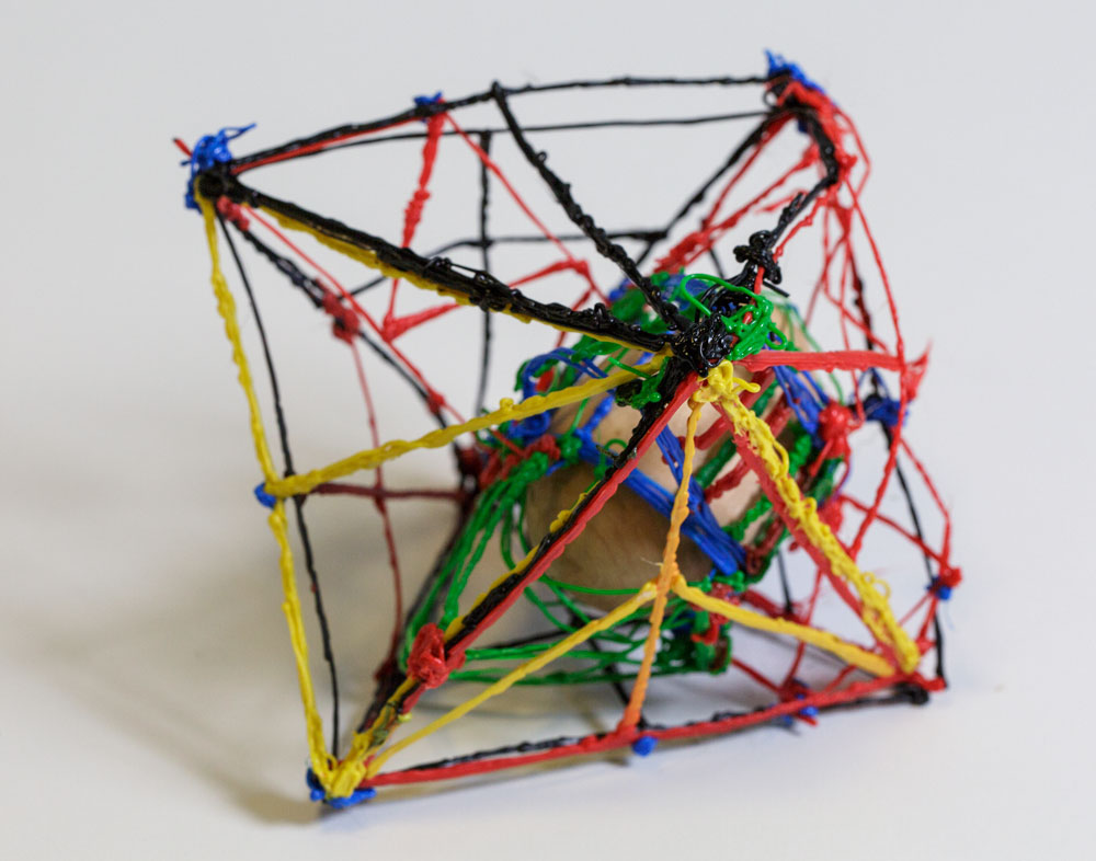 A prototype of a Doodled egg cage.