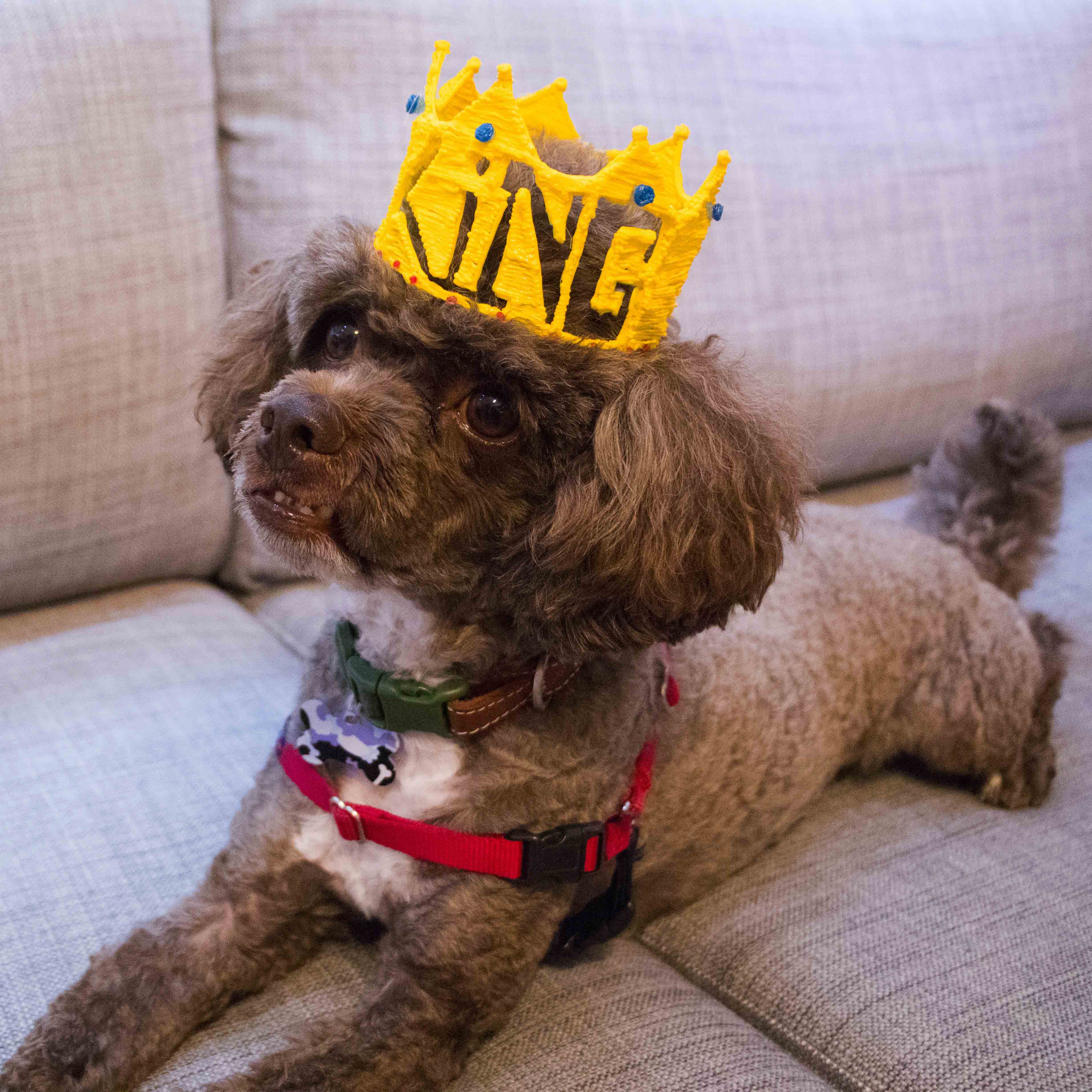 Giraffe dog with crown on couch - 3D pen art